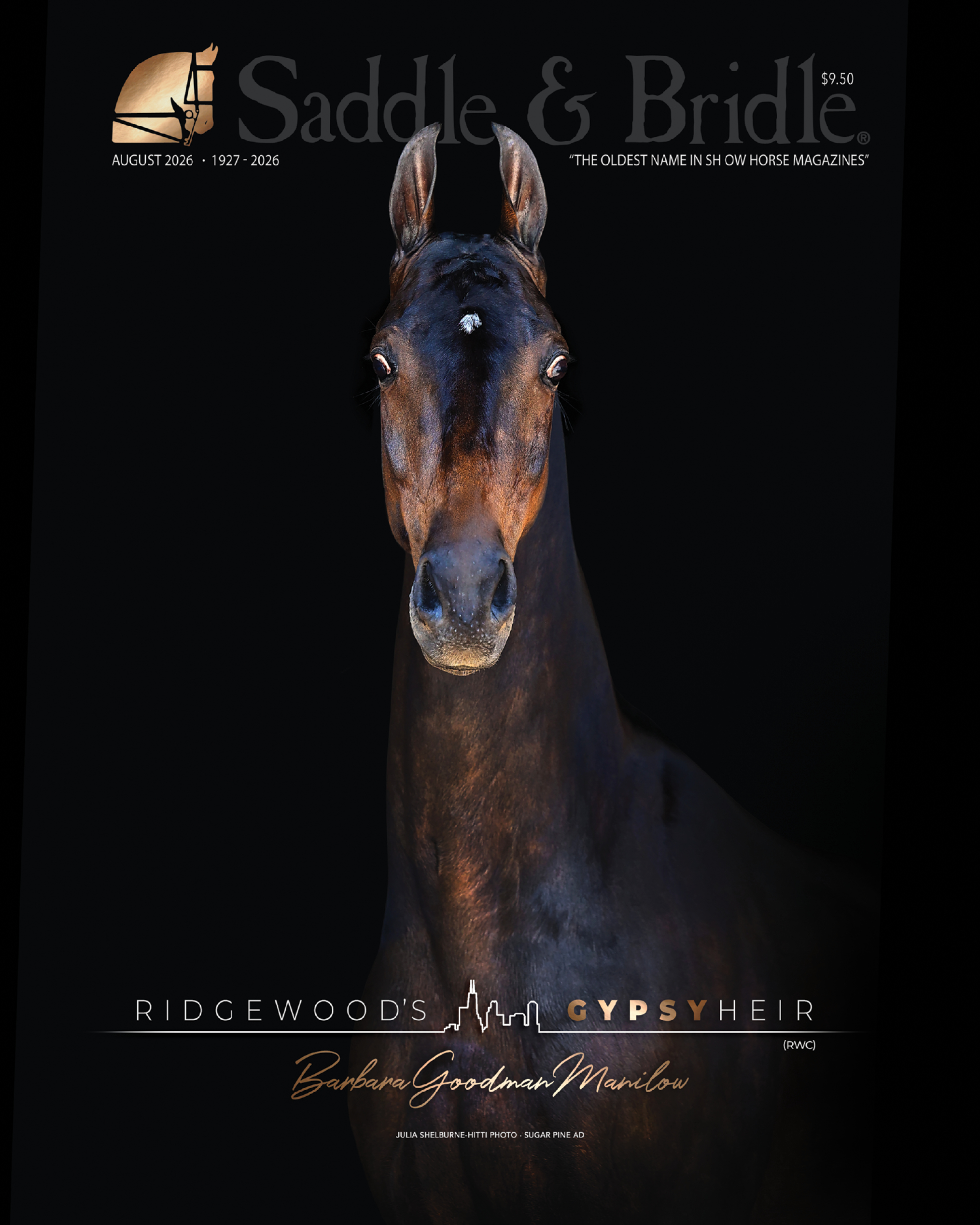 S&B CURRENT ISSUE